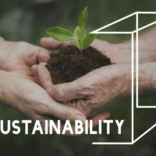 Planting Trees Nature Environment Save World Ecology Word Graphic